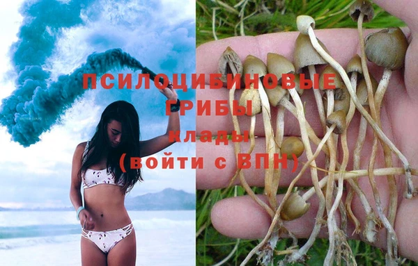 бутик Бородино
