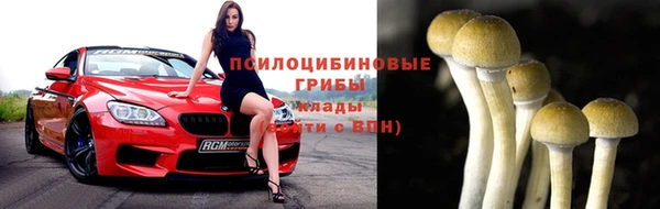 spice Бугульма