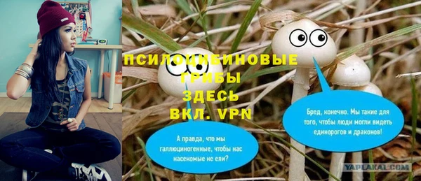 spice Бугульма